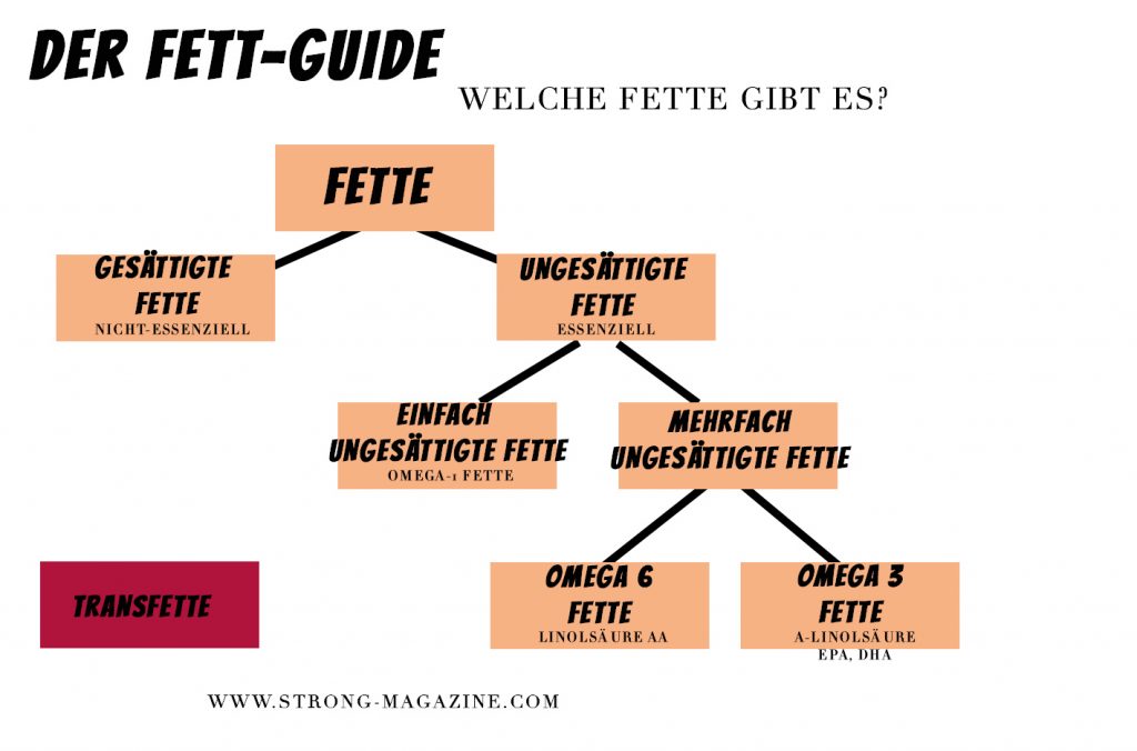 Fett fördert die Fettverbrennung - welche Fette sind gut oder schlecht?