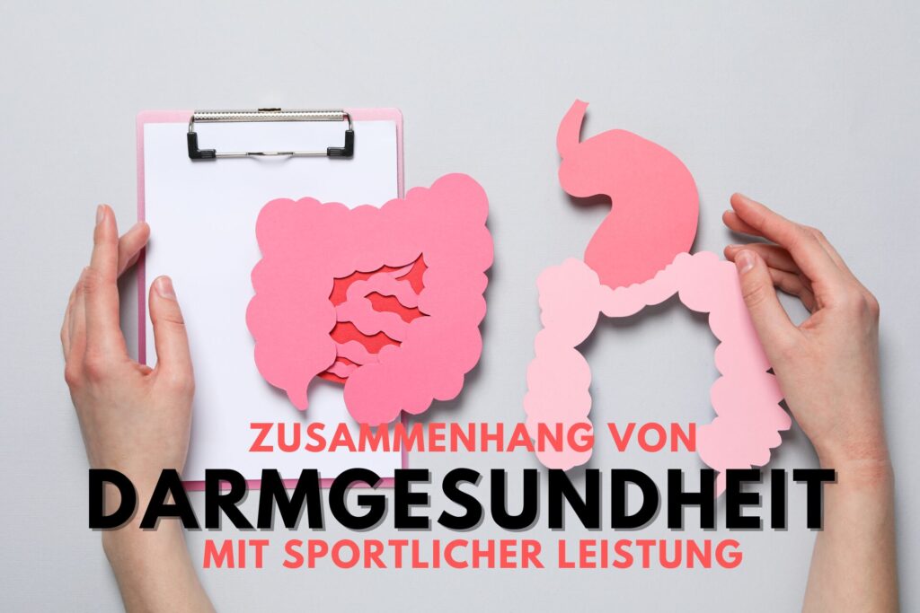 Der ZUsammenhang von Darmgesundheit und sportliche Leistung